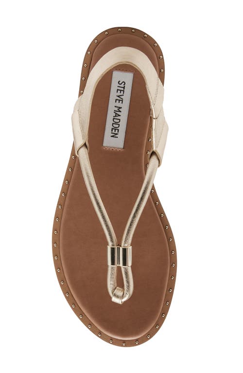 Steve Madden Meduza Sandal In Gold Leather