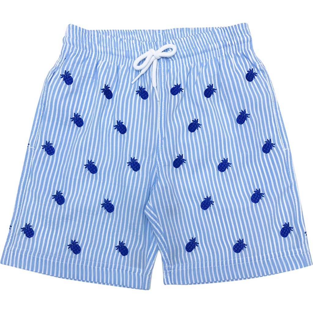 Nessi Byrd Pineapple Embroidery Striped Drawstring Swim Trunks, Toddler, Little Kid & Big Kid In Blue