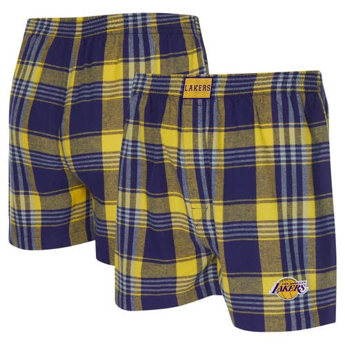 Concepts Sport Purple Los Angeles Lakers Region Flannel Boxer Short In Multi
