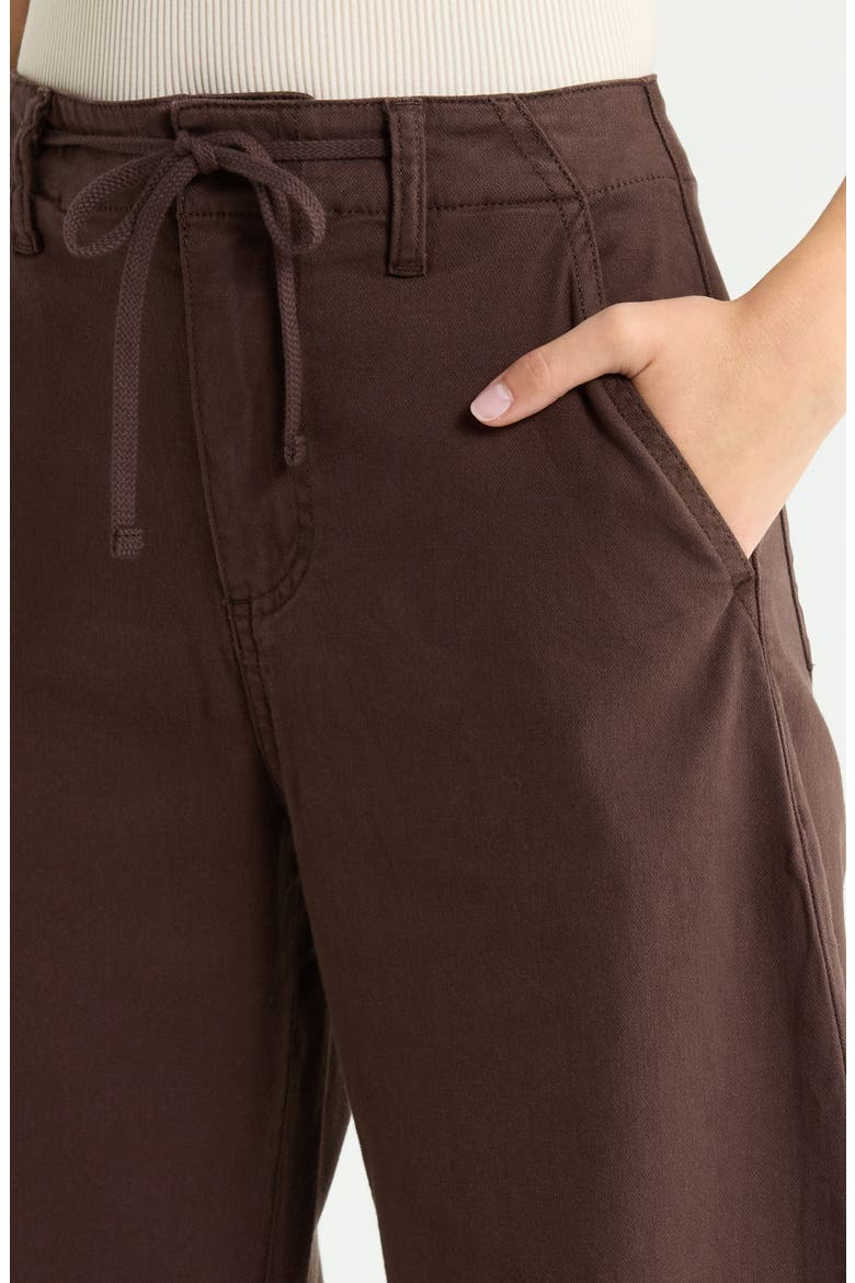 Arellia Drawstring High Waist Ankle Barrel Pants, Alternate, color, RICH CHOCOLATE