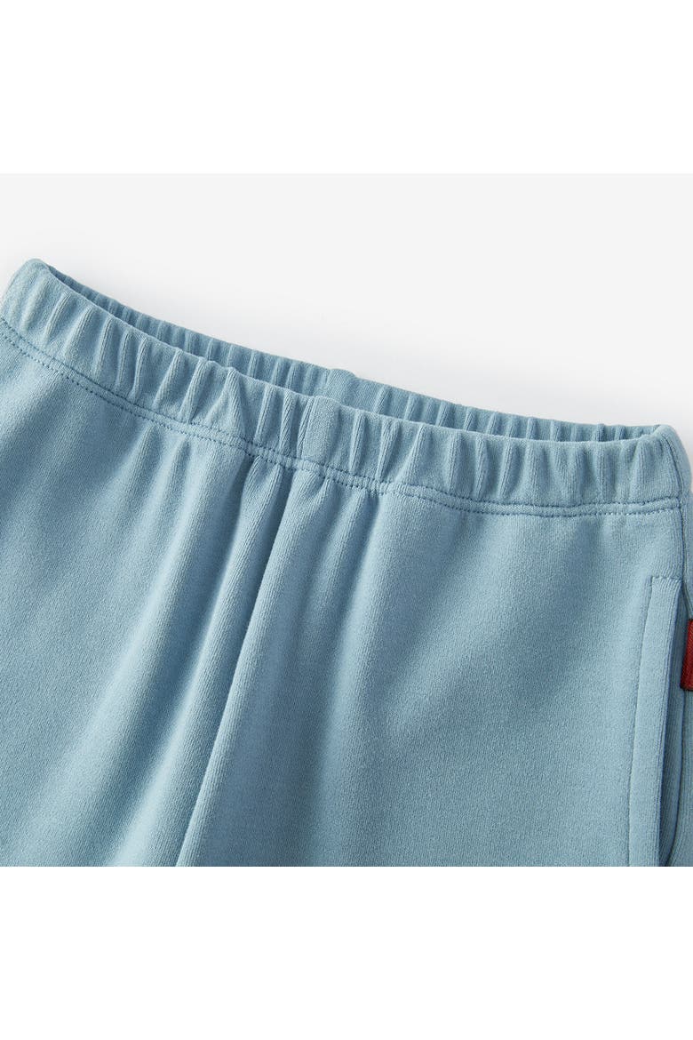 Brushed Jogger, Alternate, color, Stone