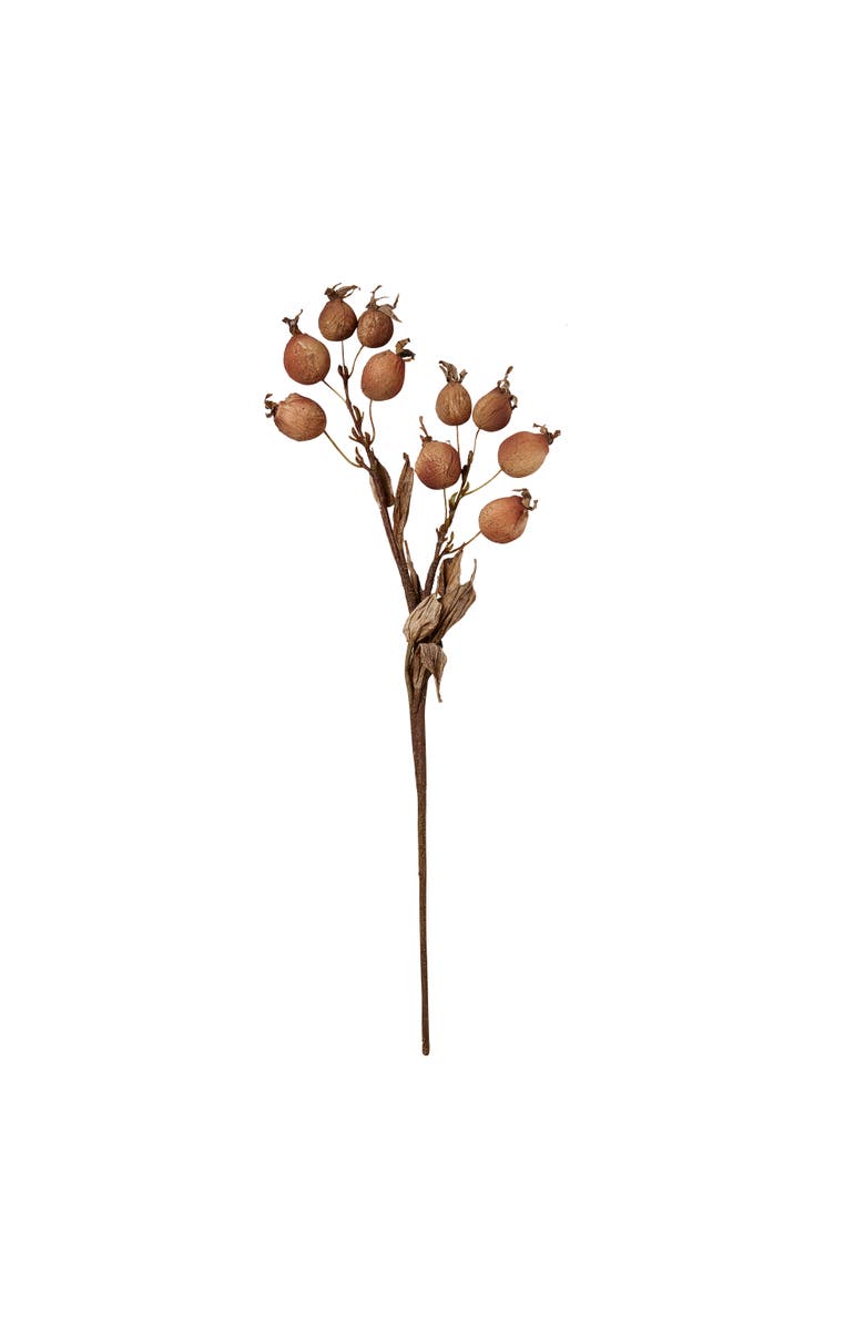 tag Rose Hip Spray Artificial Flower Stems for Fall Decor, Main, color, Beige