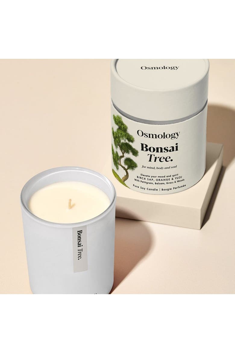 Bonsai Tree Scented Candle - Birch Sap Orange and Yuzu, Alternate, color, white