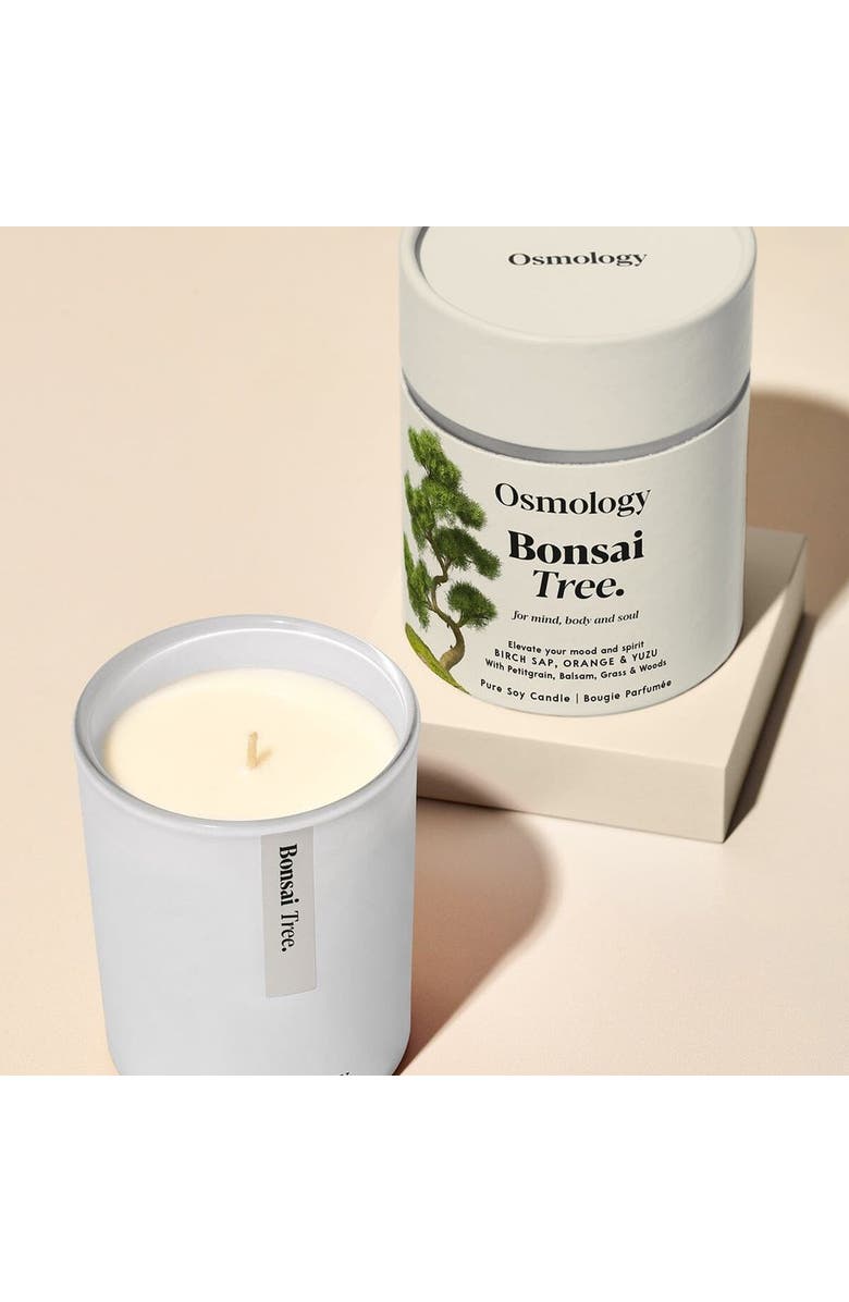 Osmology Bonsai Tree Scented Candle - Birch Sap Orange and Yuzu, Alternate, color, White