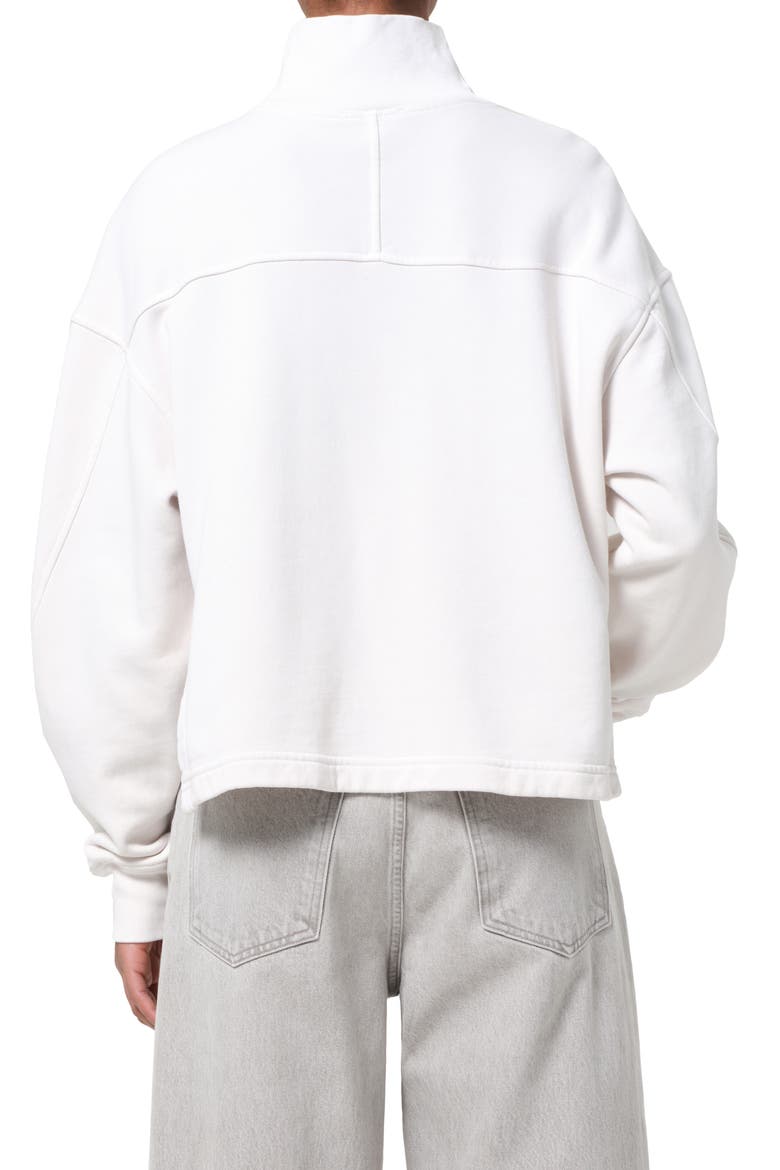 Isra Mock Neck Fleece Cotton Pullover, Alternate, color, WIRED