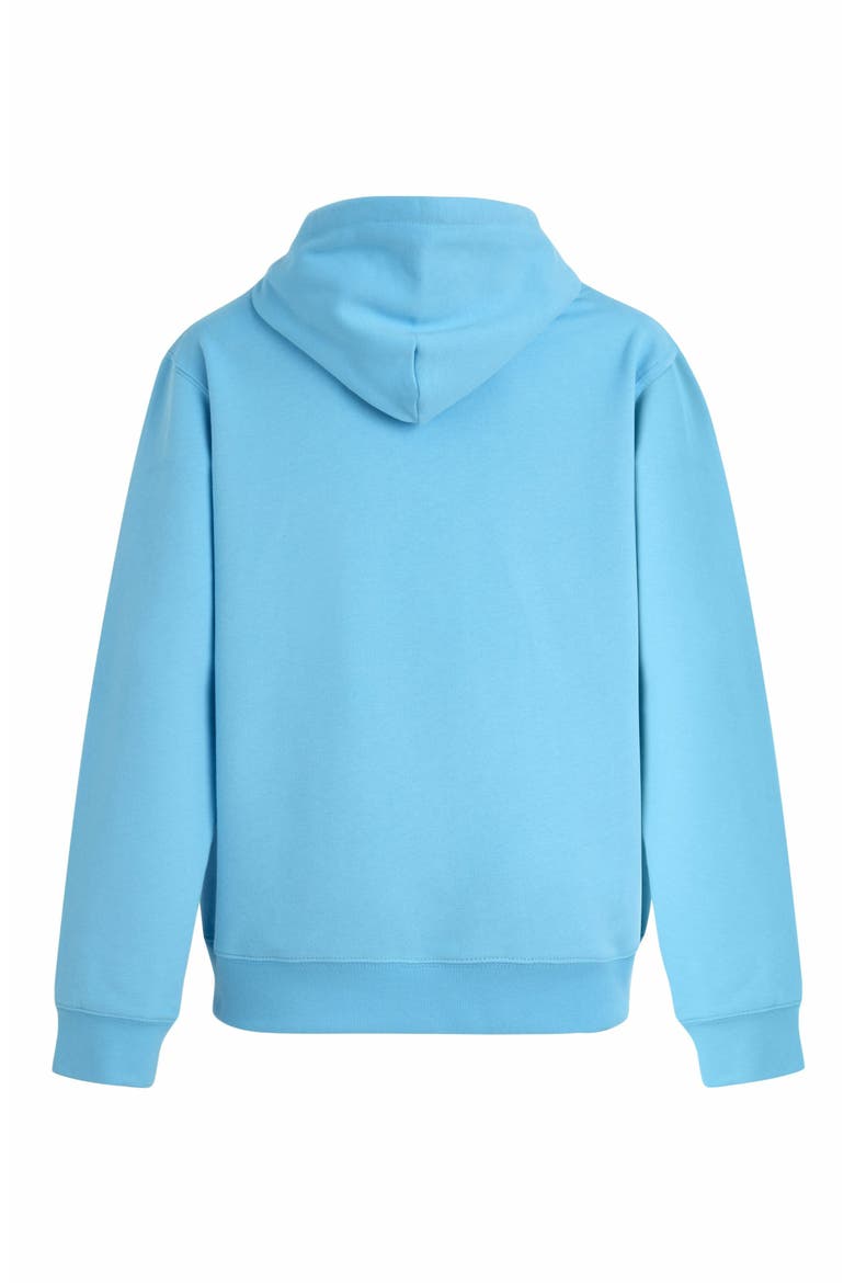 Men's Solid Cotton Hoodie Sweatshirt, Alternate, color, SANTORIN