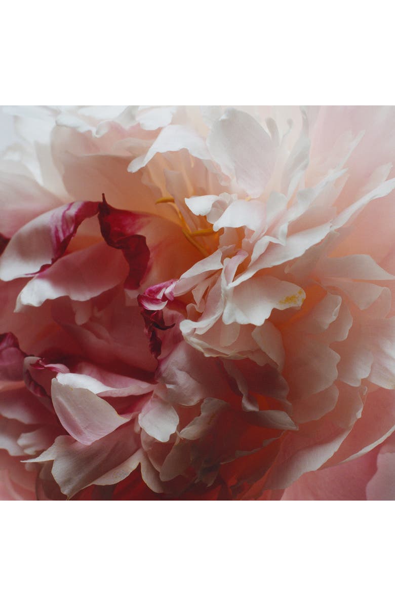 Jo Malone London<sup>™</sup> Peony & Blush Suede Trio, Alternate, color, 