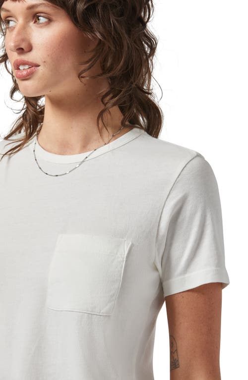 Brixton Carefree Organic Cotton T-shirt In Off White
