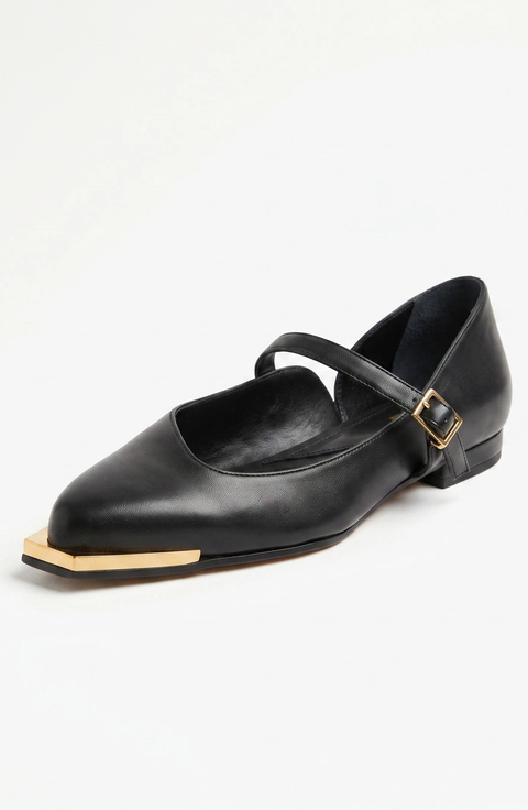 Gretta Pointed toe Ballerina flat