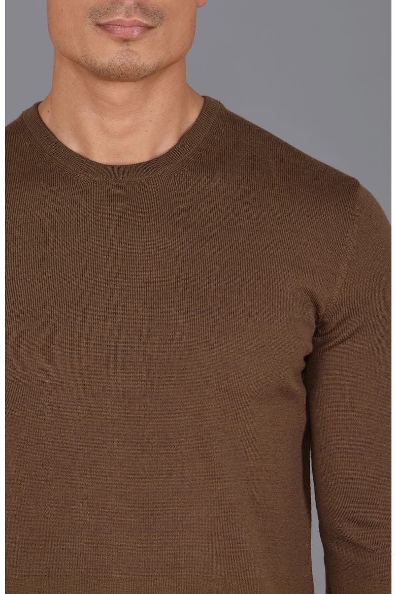 Merino Wool Crew Neck Sweater, Alternate, color, Oakbrown