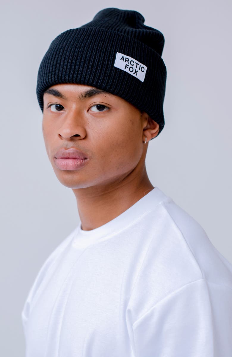 Arctic Fox & Co The Recycled Bottle Beanie, Alternate, color, Black Onyx