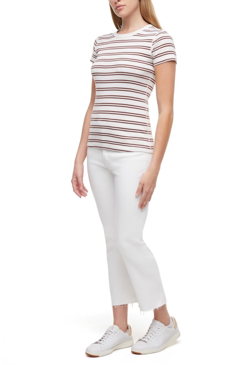 Cotton Rib T-Shirt, Alternate, color, CHOCOLATE LAB STRIPE
