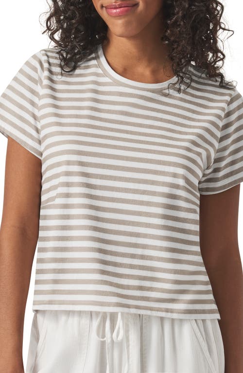 Splendid Louisa Stripe T-shirt In Fawn Stripe