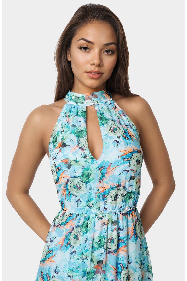 Chiffon Halter Maxi Dress, Alternate, color, BLUE FLORAL