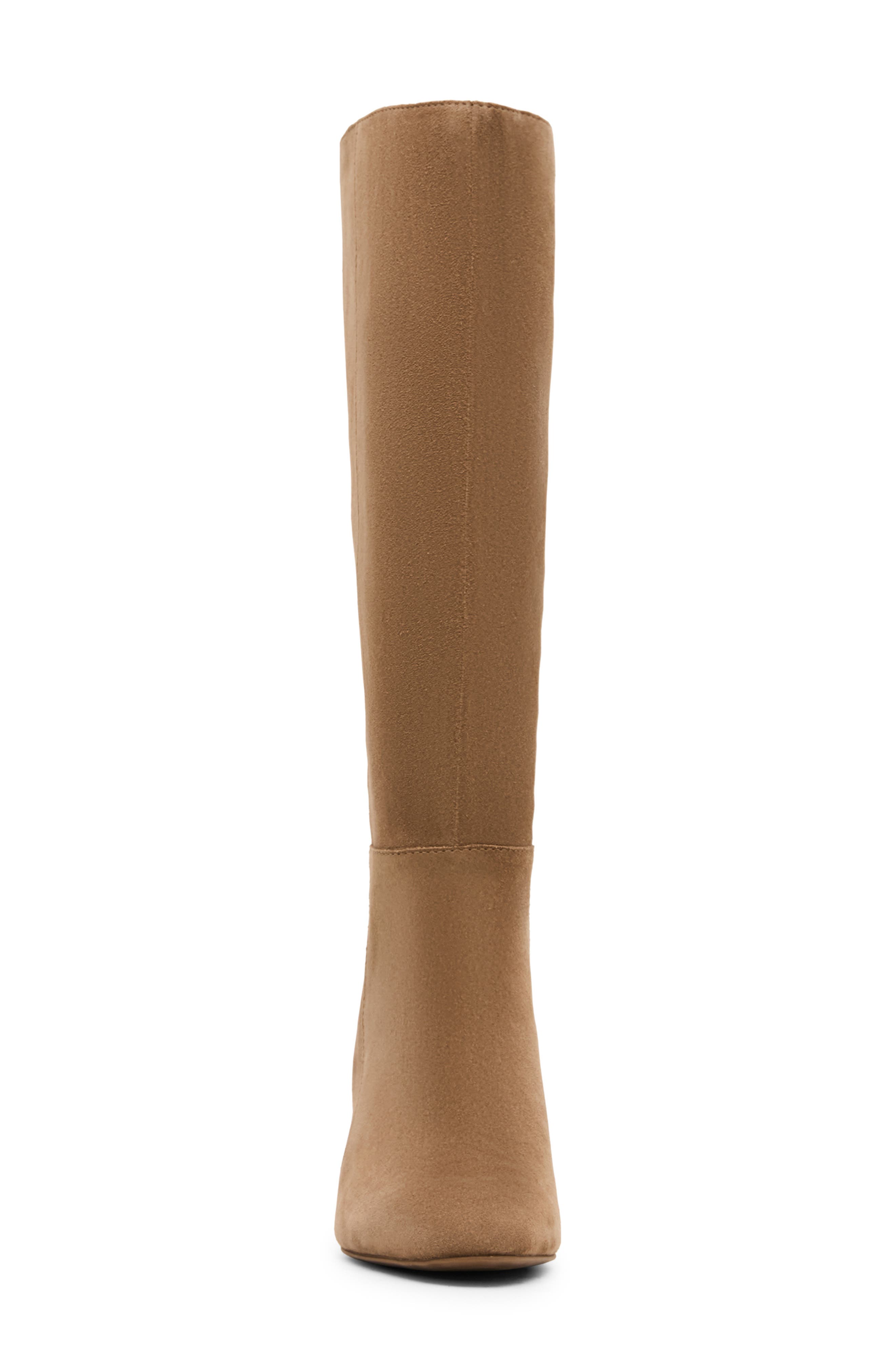 Nadine Leather Knee High Boot, Alternate, color, TAUPE SUEDE