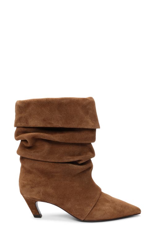 Ash Virgee Pointed Toe Kitten Heel Bootie In Brown