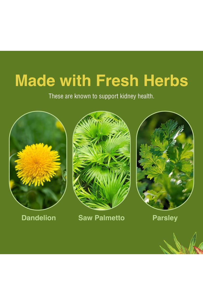 Kidney Tonic Softgels - Function Supplement - Natural with Dandelion, Saw Palmetto & Parsley - 60 Softgels, Alternate, color, No Color