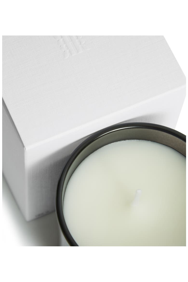 Sienna Heat Scented Candle, Alternate, color, BLACK