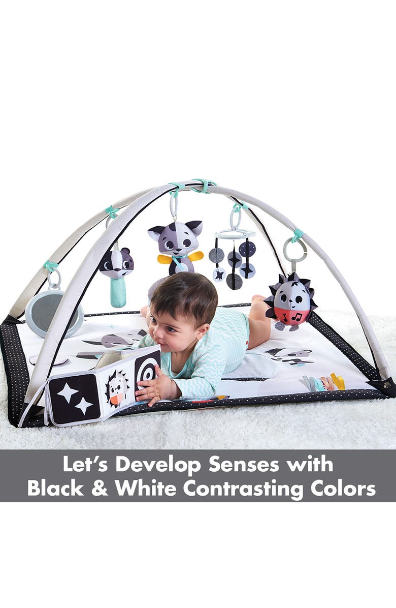 TINY LOVE Gymini Deluxe, Alternate, color,