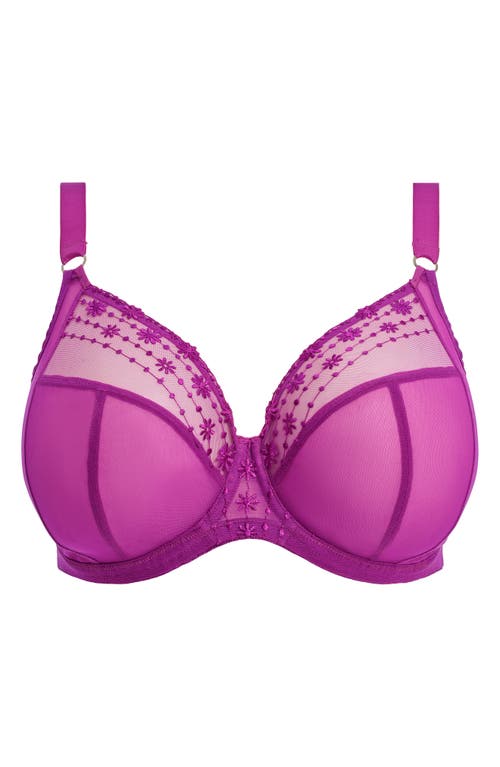 Elomi Matilda Full Figure Underwire Plunge Bra In Purple