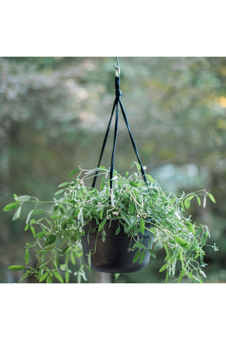 Dura Cotta Self Watering Hanging Basket Planter 12 Inch Black, Alternate, color, Black