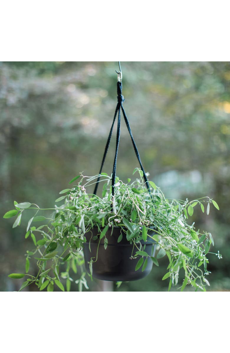 Bloem Dura Cotta Self Watering Hanging Basket Planter 12 Inch Terra Cotta, Alternate, color, Brown