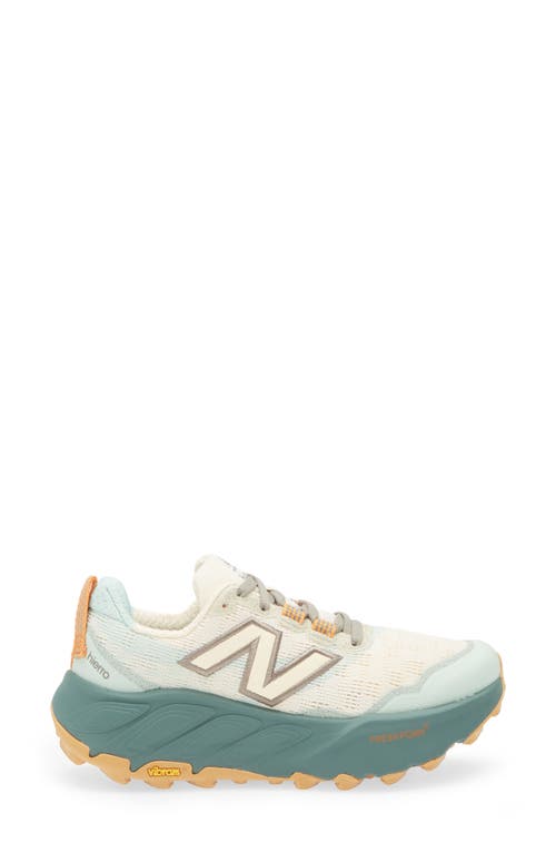 New Balance Fresh Foam X Hierro V9 Trail Running Shoe