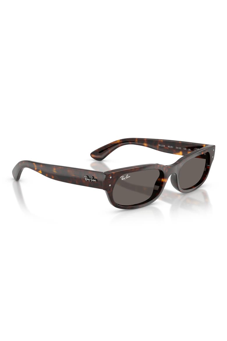 RB2236 54mm Oval Sunglasses, Alternate, color, HAVANA / DARK GREY