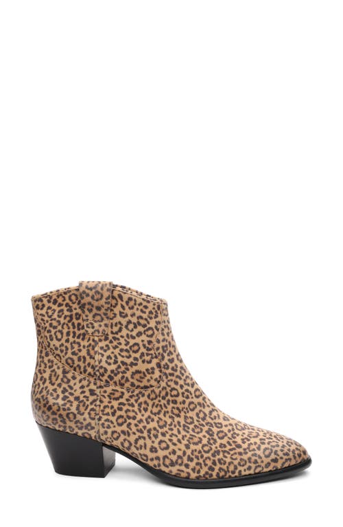 Ash Fame Bootie In Brown
