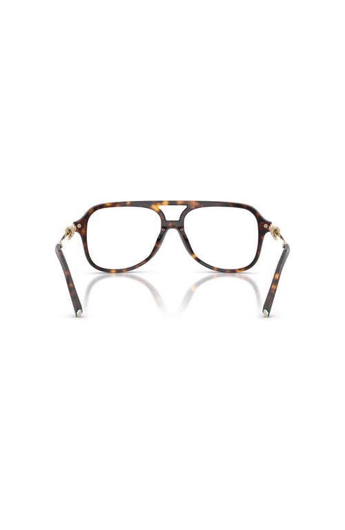 Tiffany & Co . 54mm Pilot Optical Glasses In Brown