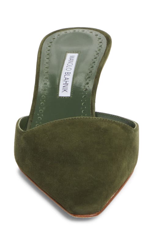 Manolo Blahnik Moiramu Pointed Toe Kitten Heel Mule