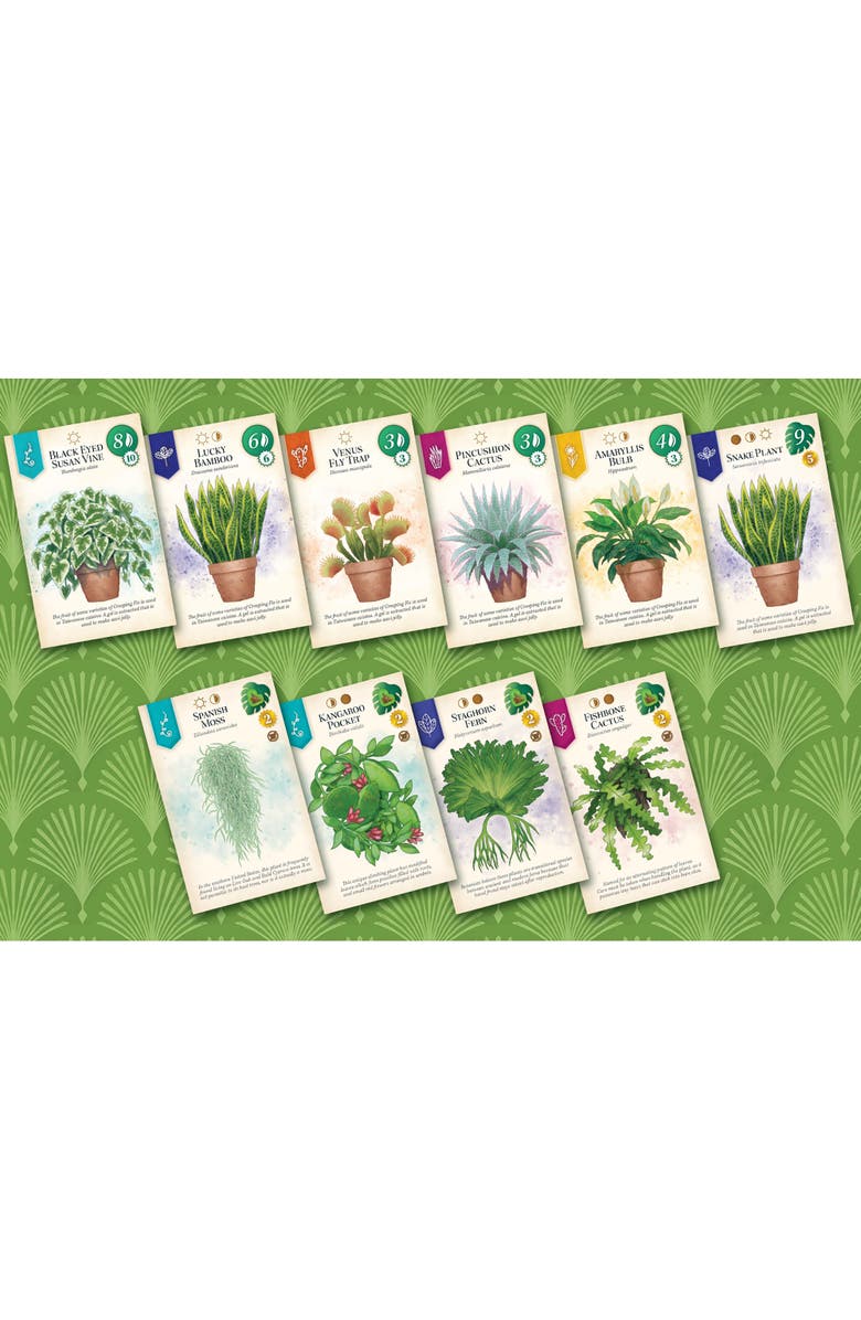 Alderac Entertainment Group (AEG) Verdant Family Spatial Puzzle Game, Alternate, color,