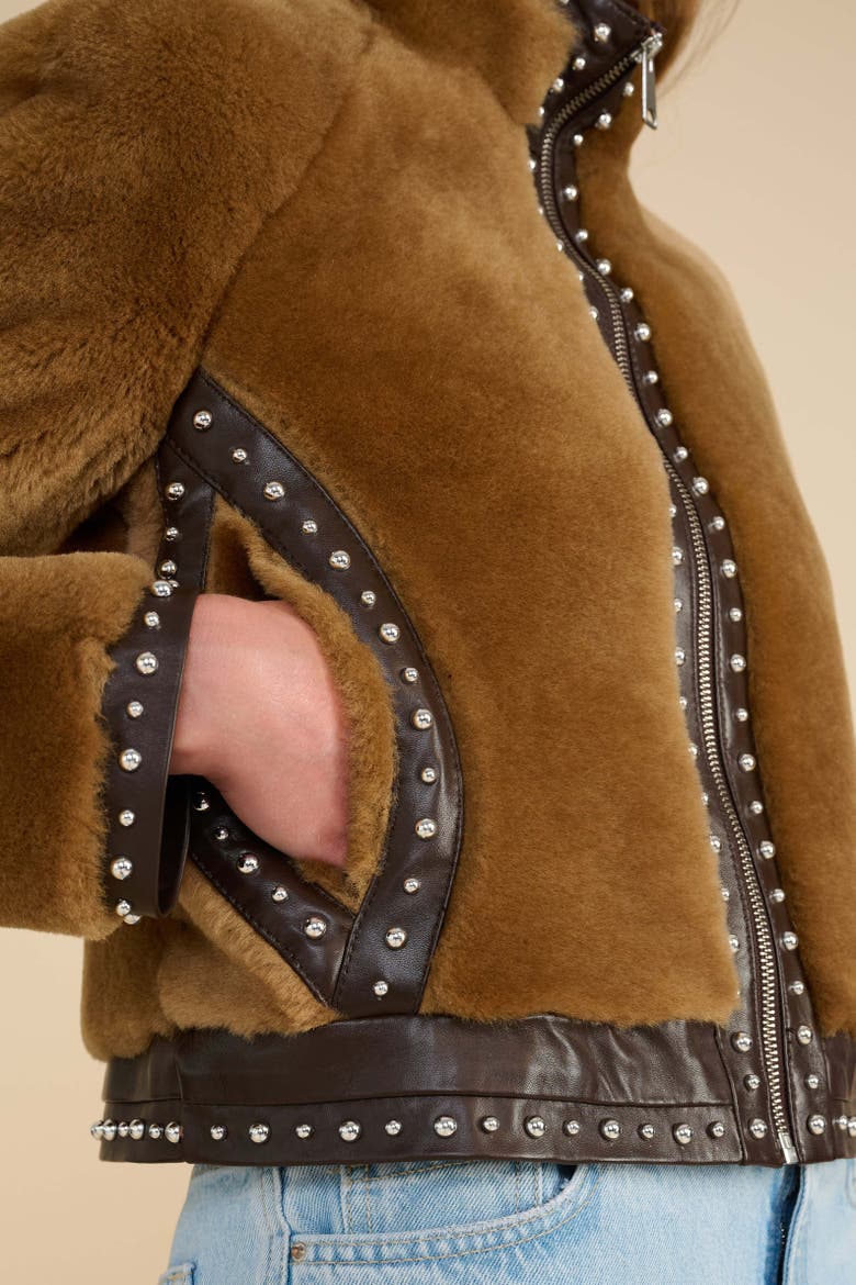 Harper Shearling Studded Jacket, Alternate, color, Brown