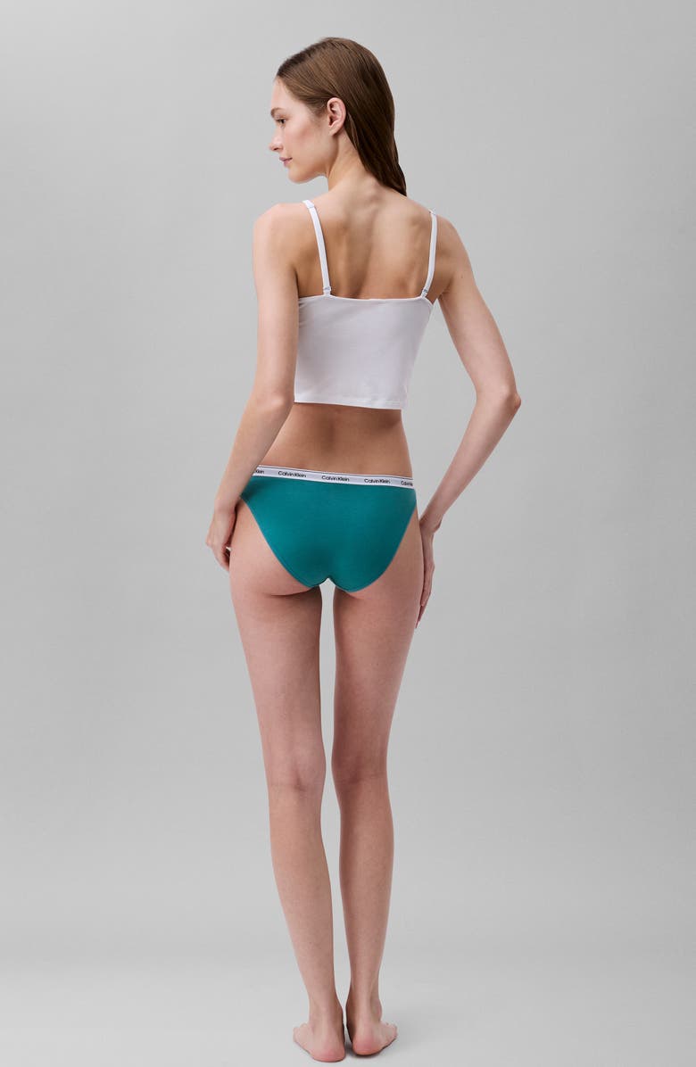 Calvin Klein Assorted 5-Pack Logo Bikinis, Alternate, color, Wad Black/ Grey