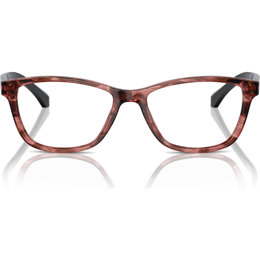 Emporio Armani 54mm Cat Eye Reading Glasses In Brown