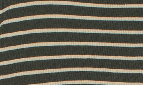 Liverpool Stripe Long Sleeve Knit Top In Green