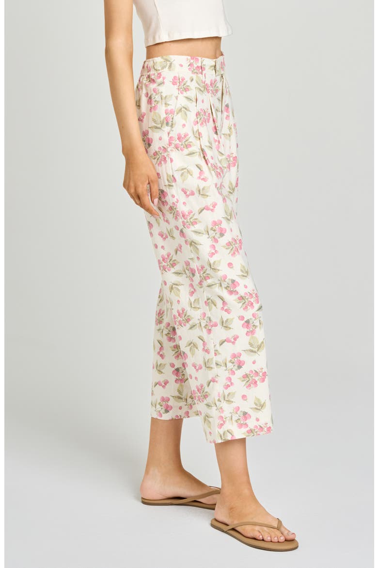 Stevie Garden Raspberry Print Crop Pants, Alternate, color, GARDEN RASPBERRY