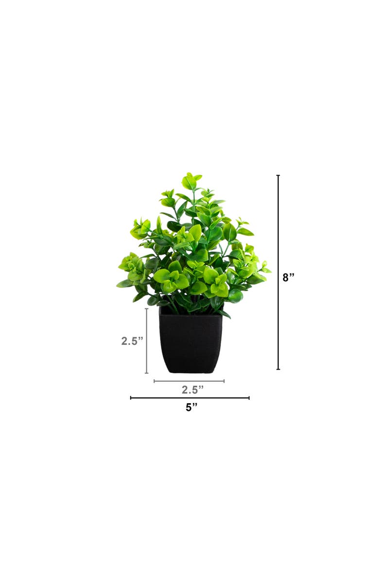 8-in Artificial Evergreen Boxwood Plant in Black Square Pot - Set of 3, Alternate, color, Green