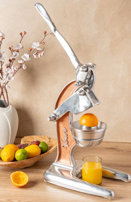 Verve Culture Juicer Large Rose Gold In Rose Gold