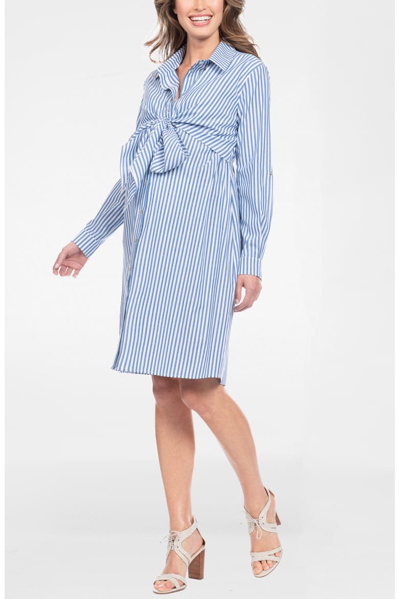 Stripe Long Sleeve Maternity/Nursing Shirtdress, Alternate, color, BLUE STRIPE