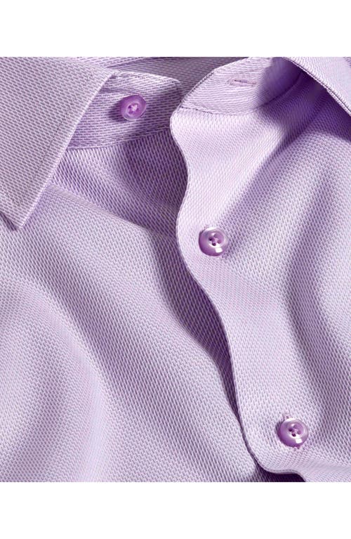 David Donahue Trim Fit Micro Dobby Cotton Dress Shirt In Purple