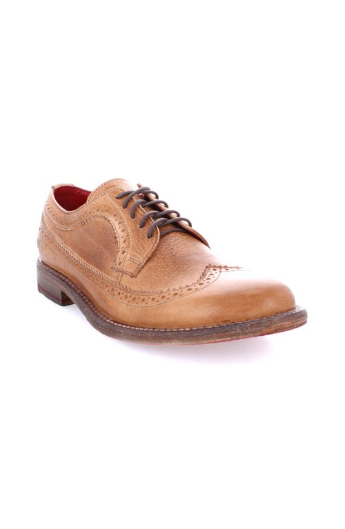 Bed Stu Lita K Ii Wingtip Oxford In Brown