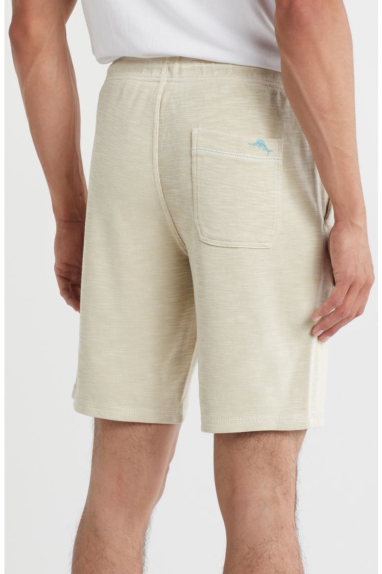 Tobago Bay Knit Shorts, Alternate, color, HAZY