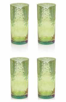 Zodax Set of 4 Aperitivo Highball Glasses