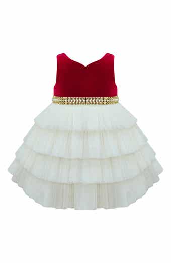 Velvet & Tiered Tulle Dress