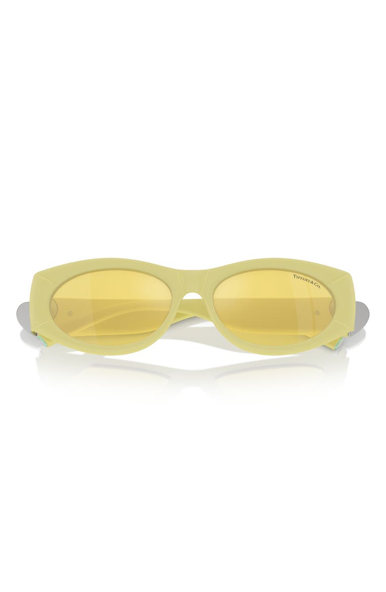 Tiffany & Co. 55mm Oval Sunglasses, Alternate, color, 