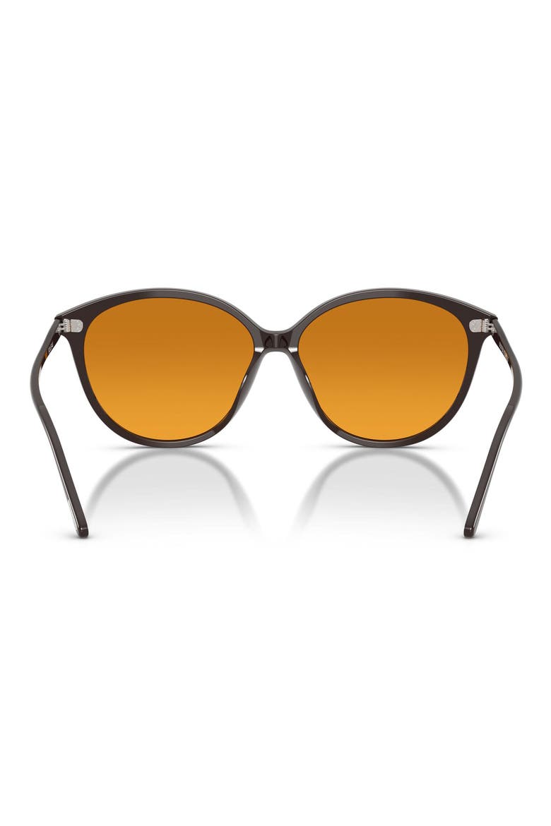 Soleau 60mm Butterfly Sunglasses, Alternate, color, KURI BROWN / COGNAC GRADIENT