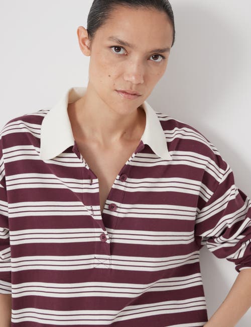 Hush Cotton Striped Polo Top In Brown