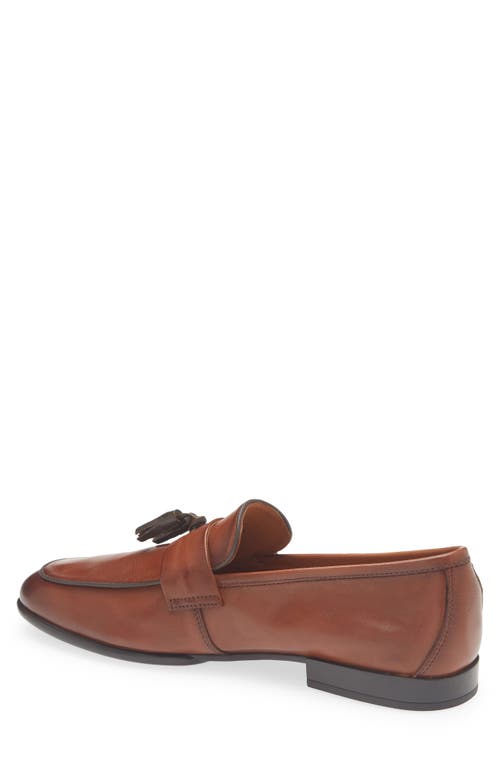 Steve Madden Biscayne Tassel Loafer In Brown