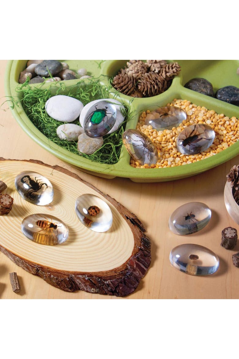 Specimen Stones Bugs - 9 Pieces, Alternate, color, Clear